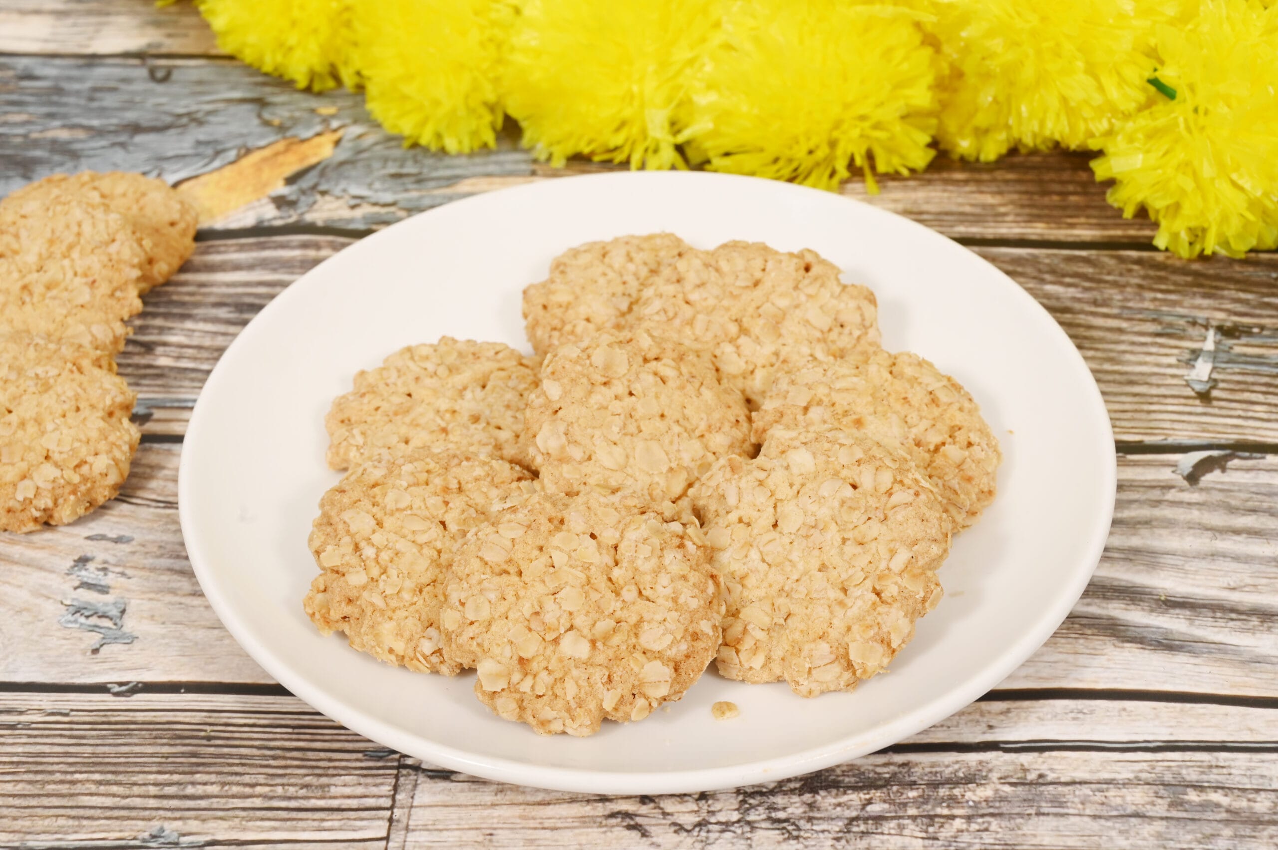 DSC 1899 scaled