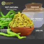 Chilli Chutney Thecha B2B wholesale showing multiple applications vada pav fusion pasta pizza versatile profitable